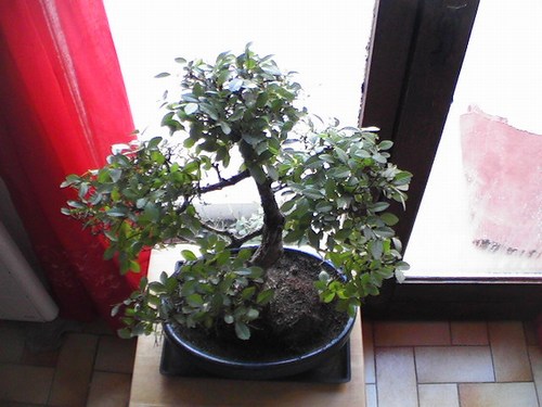 post_2819_1141150354.jpg