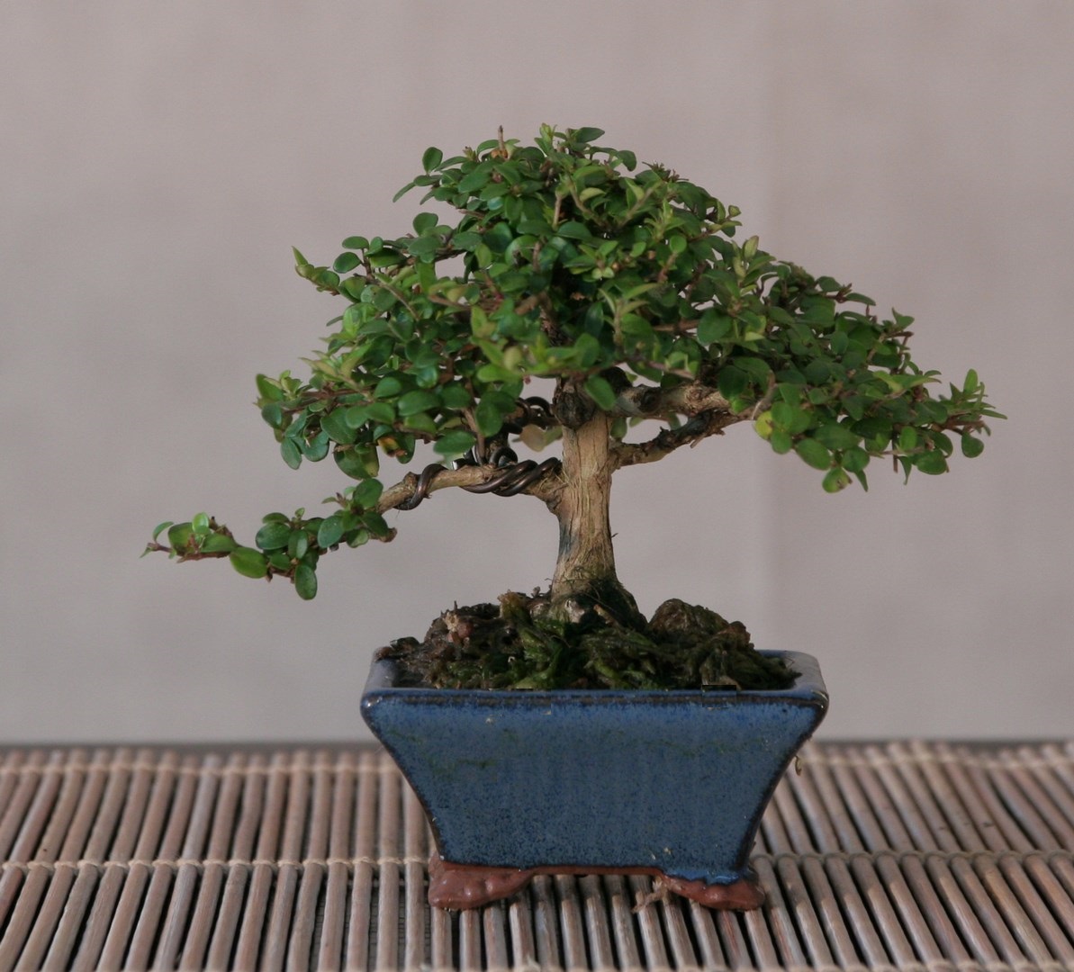 2015-04 (7) (Copier).jpg