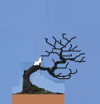 mini_prunus2.jpg
