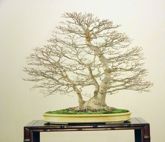 DSCN1932