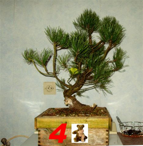vue_4.jpg