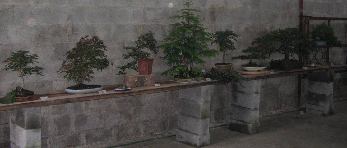 d_co_f_te_Maibelle_15082005.jpg