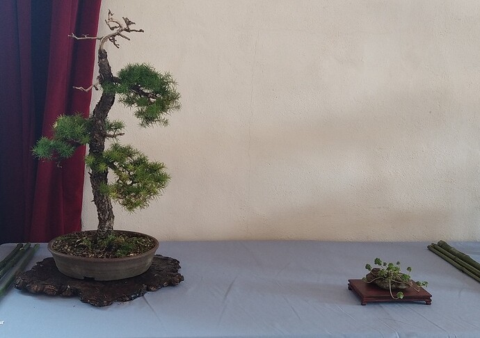 447b401604c06bea68aacd5fb42a722ca2b6051b_2_690x486