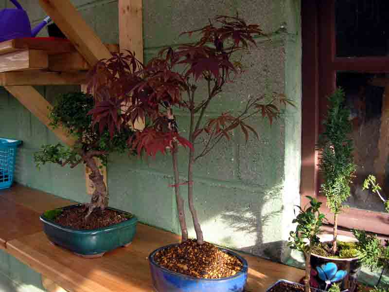 DSCN02871.jpg