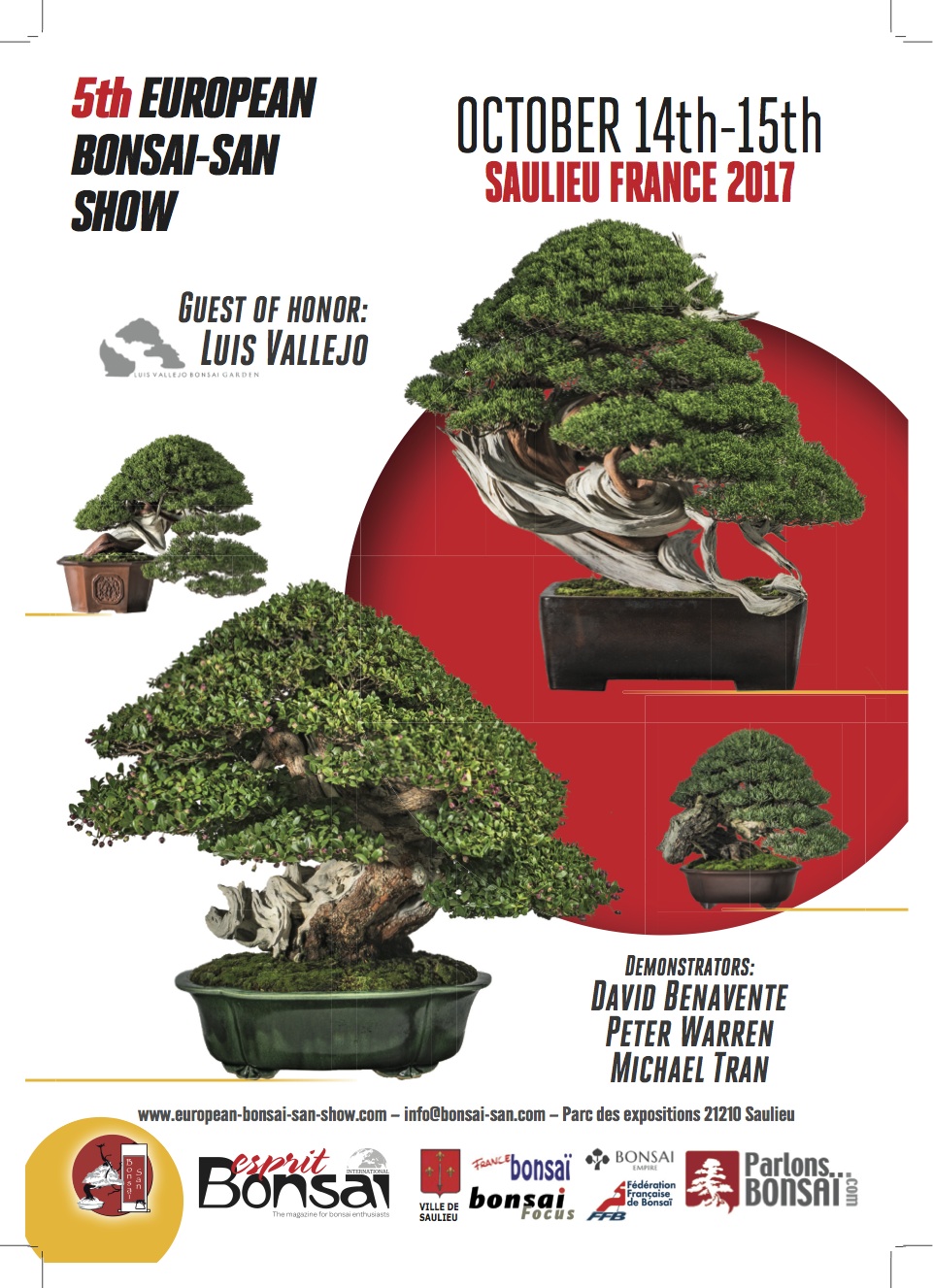 Saulieu 2017-PUB-flyer A5-HD.jpg