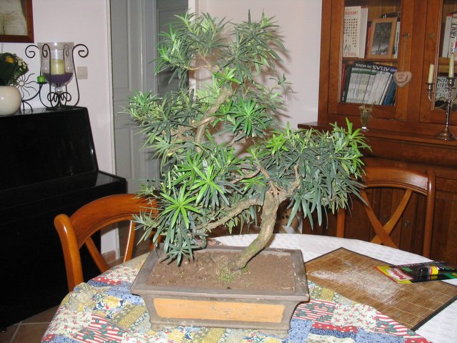 IMG_0003.jpg