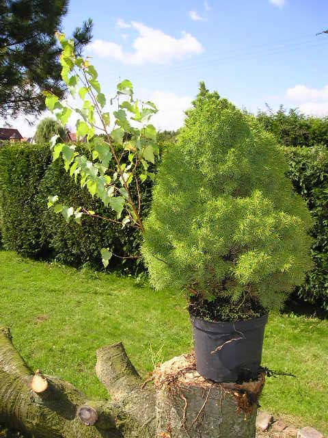 famille_07.2005_009.jpg