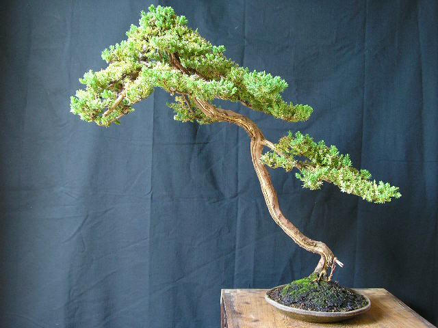 post_3_1089129025.jpg