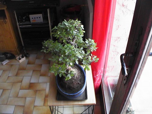 post_2819_1141150369.jpg