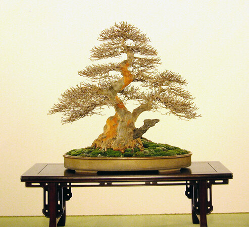 DSCN1897