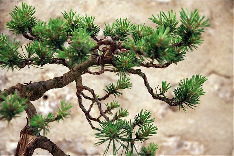 2025.05.25(10)copie1