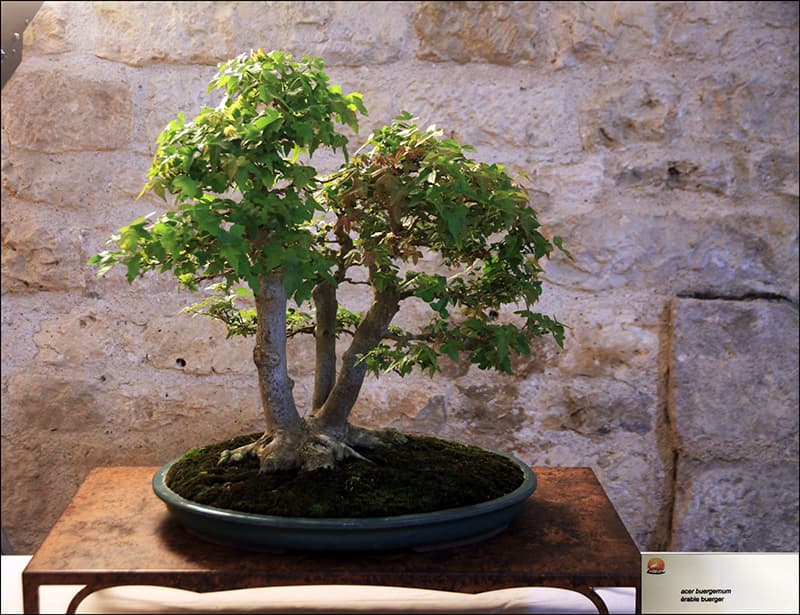 2025.05.24(99)copie1