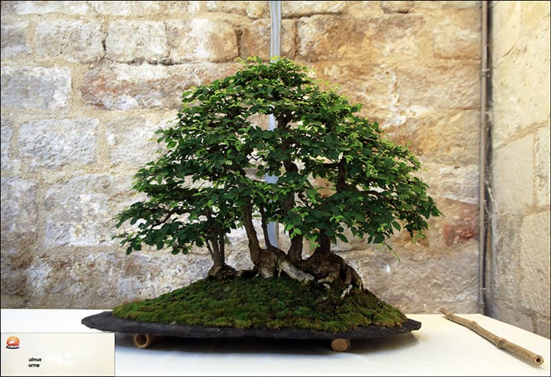 2025.05.24(23)copie1