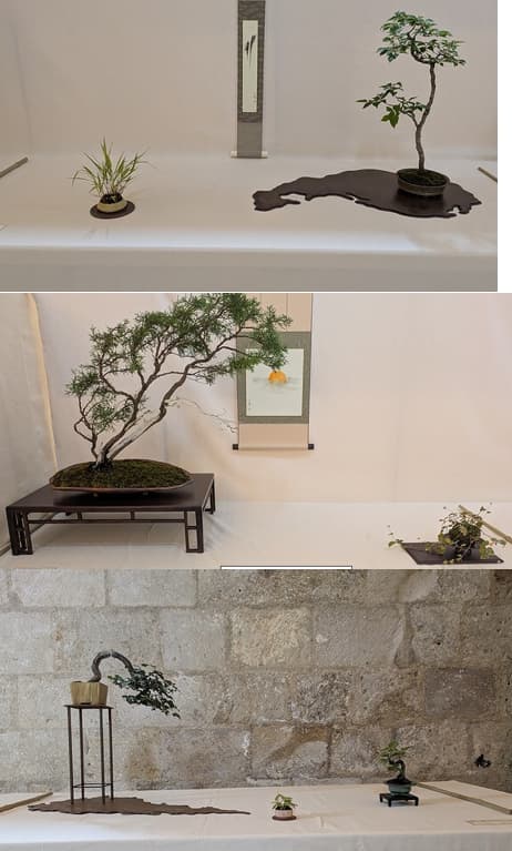 Capture d'écran 2025-05-25 091311