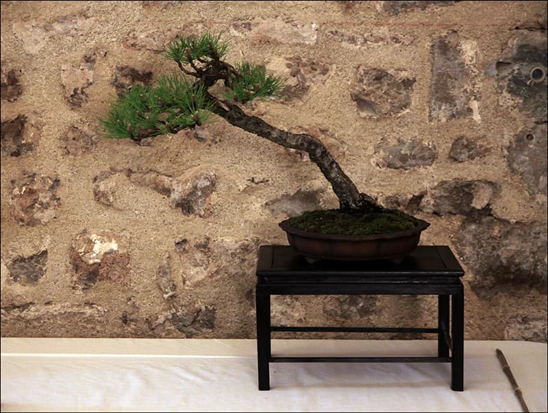 2025.05.24(117)copie1