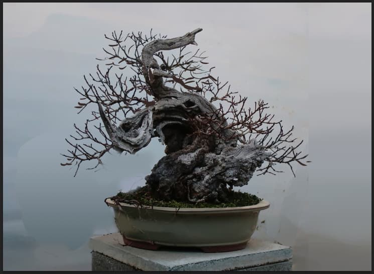 ScreenShot 2025-11-04 à 12.31.18