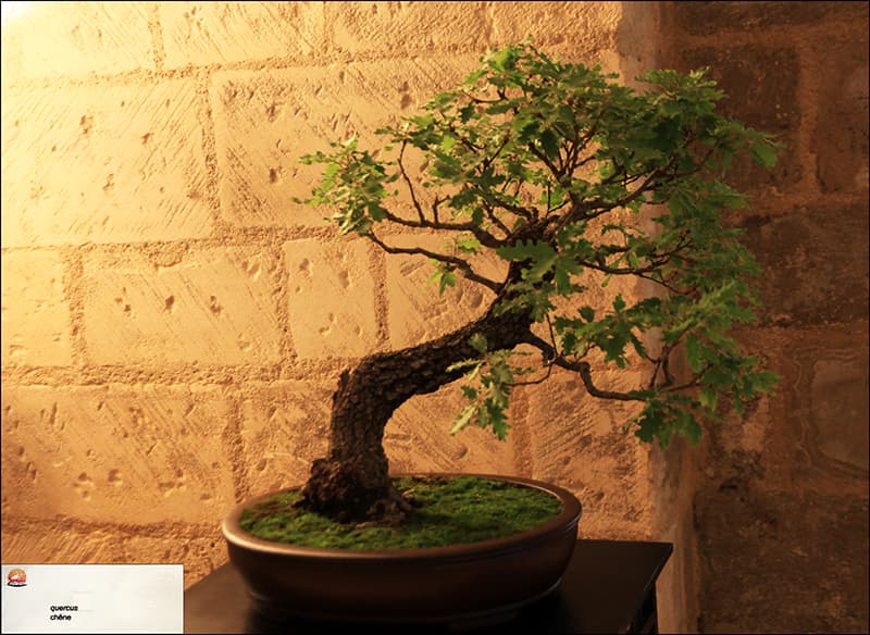 2025.05.24(105)copie1